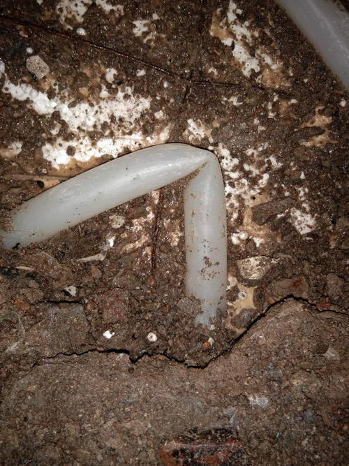 香洲堵点精准查找